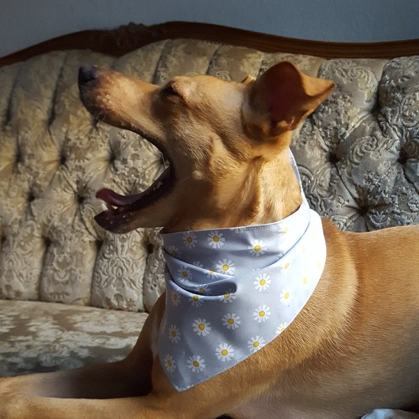 Halstuch für Hunde - graublau mit Blumen